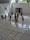 diamove_20250614_13